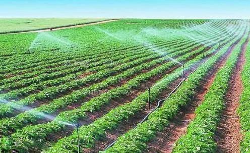 黑屌白虎农田高 效节水灌溉